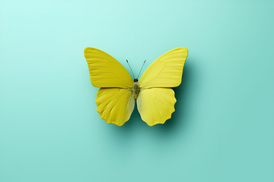 Cloudless Sulphur Butterfly on Soft Green