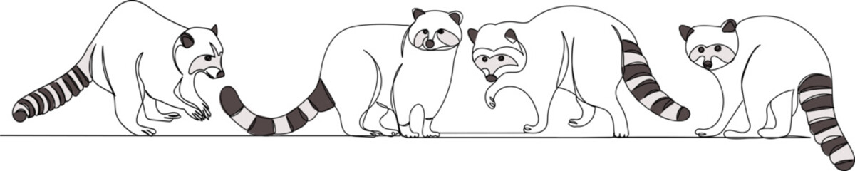 raccoon sketch on white background vector