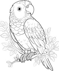 Parrot coloring page on tree branch isolated on transparent background