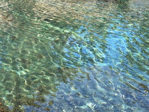 Beautiful sea with seaweed in clear water 
