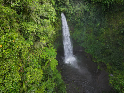 Aerial view of Nungnung waterfall in Bali, Indonesia © Goran