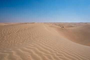 Al Qudra camels empty quarter seamless desert sahara in Dubai UAE middle east with wind paths and sand dunes hills under gray cloudy sky 