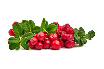 Wild cowberry, foxberry, lingonberry with leaves, isolated on white background. High resolution image.