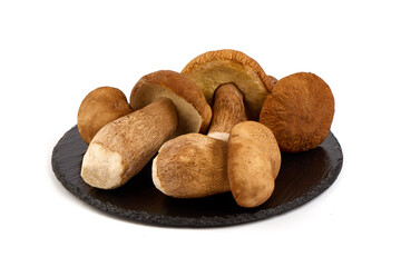 Boletus mushrooms, Porcini Mushroom, Forest, Edible Mushroom, isolated on white background.