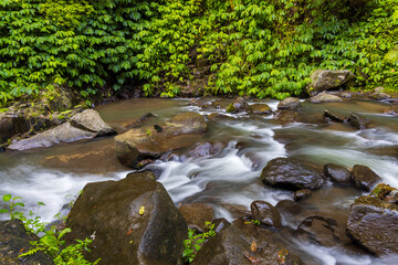 Naklejka na ściany i meble A stream in a deep forested canyon, Bali, Indonesia