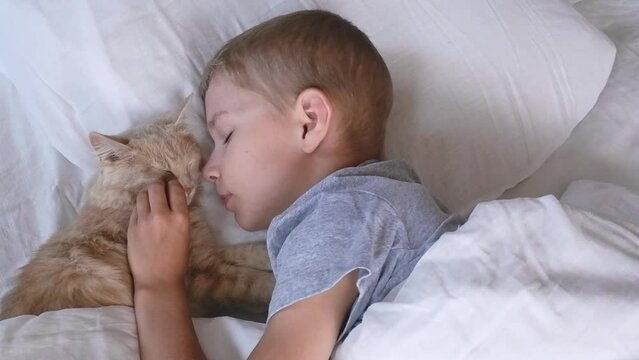 A child in bed cannot fall asleep, yawns, grimaces and plays with a ginger cat