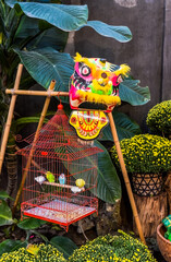 cage with parrots and dragon head with decor as symbol of wealth in the market for Tet Lunar New...