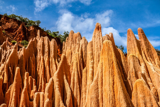 Wonders of Nature Red Tsingy in Madagascar
Explore the majesty of the Red Tsingy in Madagascar, where the land is transformed into a spectacle of unique rock forms.