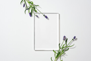 A glass podium is placed in the center of the frame decorated with lavender flowers. Empty podium...