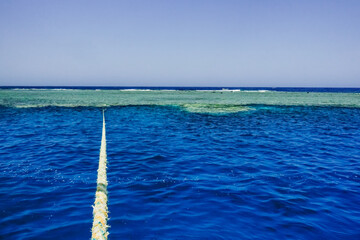 Fototapeta premium rope from a boat to a wonderful coral reef in deep blue water on vacation in egypt