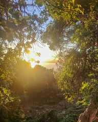 Coucher de soleil sur Nice et la mer avec la baie des anges depuis le Mont Boron au travers des branches d'un sous bois