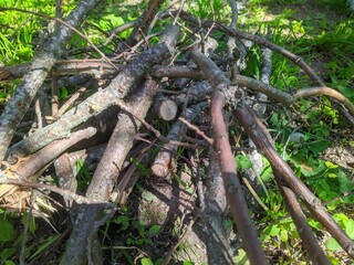 Dry branches for a fire on the grass. dry branches for a fire in the summer during the day