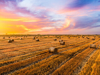 Wheat straw bales natural landscape in farm fields. Beautiful farm natural landscape at sunset.