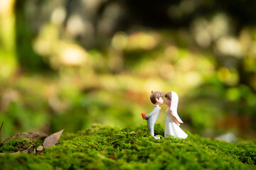 緑の苔と新郎新婦