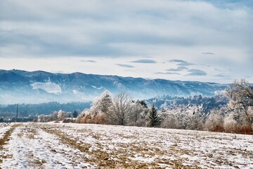 Winter landscape of field with mountains