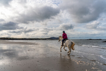 Horse riding on the beach on the Ilse of Anglesey