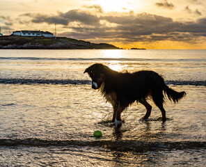sunset on Trearddur bay Beach, isle of Anglesey