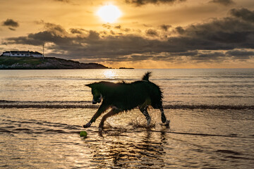 sunset on Trearddur bay Beach, isle of Anglesey