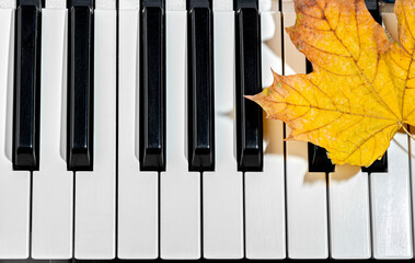 Maple leaf on piano keys