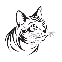 Cat head design on transparent background. Pet, Mammals, Animals.