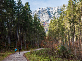 Fototapeta na wymiar Bavarian Hike Path along the Hintersee Zauberwald Forest during Autumn season