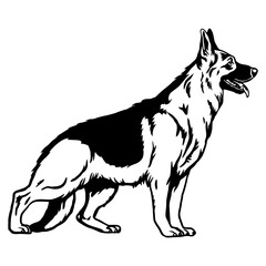 Funny German Shepherd - Dog Breed, Funny dog Vector File, detailed vector - obrazy, fototapety, plakaty