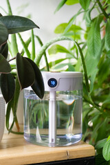 Modern air humidifier on table in living room full of plants. Space for text