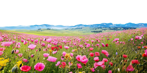 Wildflower meadow: Lush hills adorned with vivid blossoms, cut out