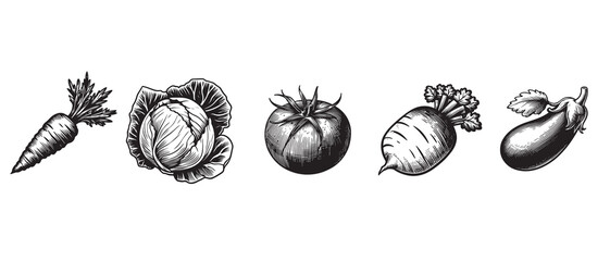 Sketch vegetables. Vintage hand drawn garden vegetable collection. - obrazy, fototapety, plakaty