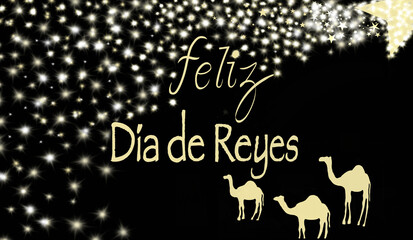 Fototapeta na wymiar Text happy kings day with camels on black sky background and golden glitter.