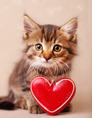 Cat or Kitten with a Heart - Valentine Concept or Romantic Greetings Card