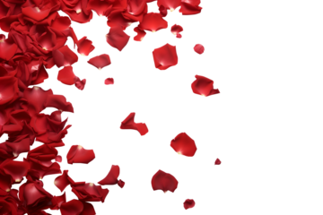 Red rose roses flower petals scattered flat lay composition top view on transparent background cutout, PNG file. Mockup template for artwork. Wallpaper banner border