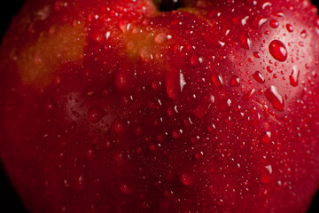 Ripe red apple with water drops close-up on dark background