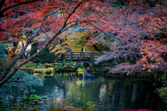 detail of Naritasan Park in Narita