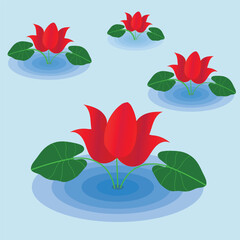 red and green leaves lotus or water lily 