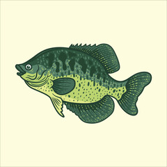 Crappie fish mascot character cartoon vector illustration