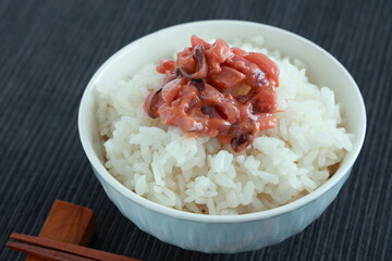 イカの塩辛とご飯