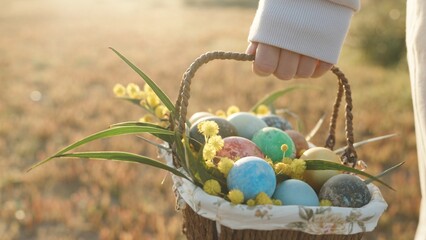 A Basket with Easter Eggs and Flowers in the Hands of a Woman. A Walk in the Field on a Sunny Morning. Sunlight Reflections