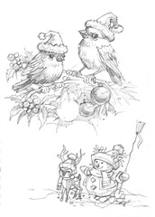  illustration of bird in hat pencil drawing for card decoration illustration
