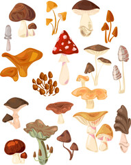Cartoon hand-drawn mushrooms. Poisonous and edible mushrooms, chanterelles, porcini mushrooms, fly agaric and a set of isolated vector illustrations. Types of wild mushrooms. - obrazy, fototapety, plakaty