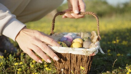A painted Easter egg on a glade among yellow flowers. A young woman places it in a basket with...