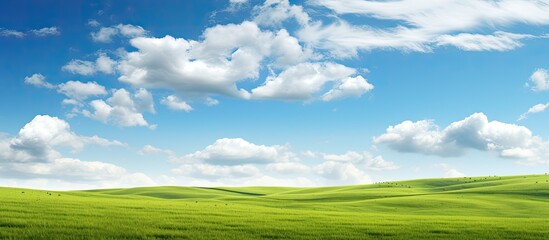 Blue sky with clouds over green meadow. - obrazy, fototapety, plakaty