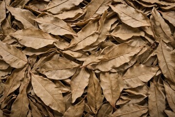 pile dry laurel leaves