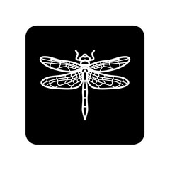dragonfly icon