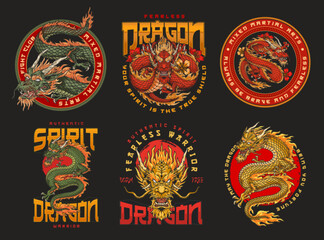 MMA dragon set poster colorful