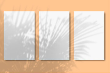 Natural light casts shadows from the plant on 3 vertical rectangles sheets of white paper lying on a orange textured background. Mockup