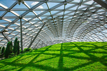 glass roof under the open sky, indoor safety park with green hill and thuja bushes lit by sunlight, nobody.