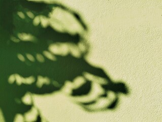 The background image is a green cement wall with light and shadow of a number of green leaves extending to the right side of the image.
