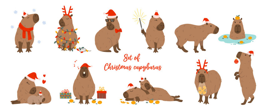 Set cute christmas capybaras in different poses and christmassy items. Hand drawn cartoon flat vector style. Holiday seasonal decoration for design, kids collection
