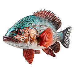 Vibrant Grouper Swimming in Exotic Underwater Habitat Marine Life Photography, Generative Ai